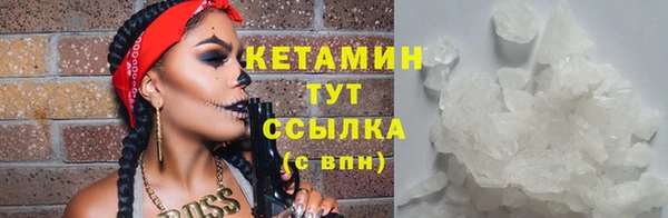 шишки Бикин