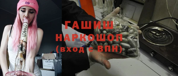 дживик Гатчина