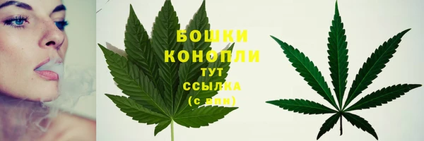 mdpv Гвардейск