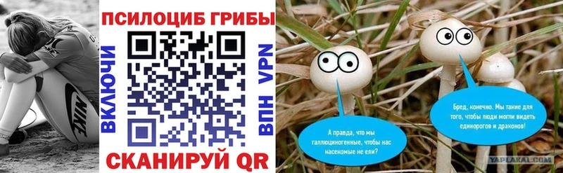 закладки Боровичи Псилоцибиновые грибы ЛСД