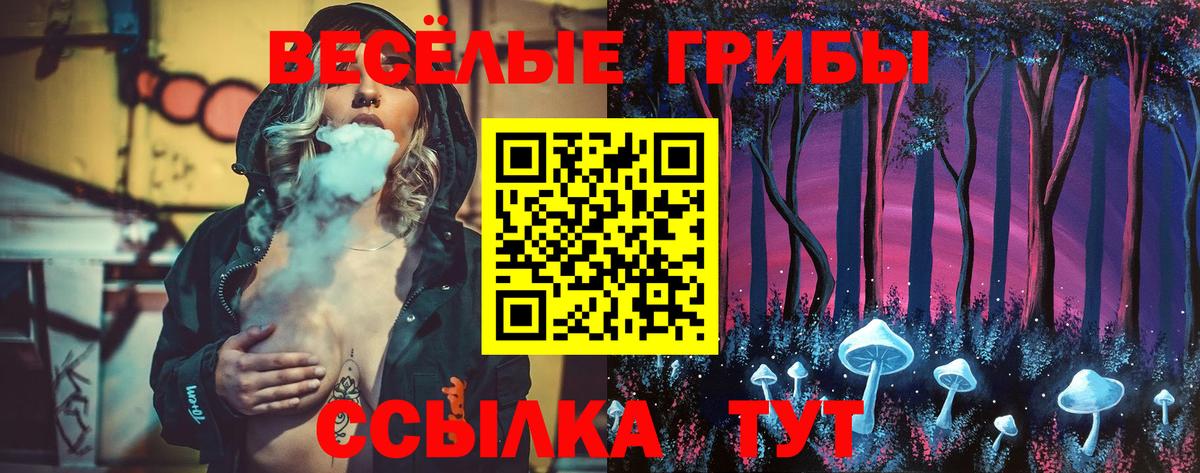 купить наркотики цена  Боровичи  Псилоцибиновые грибы Psilocybe 